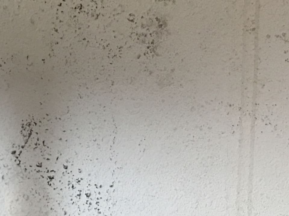 Sonstiges B&B Hotel Frankfurt-Messe