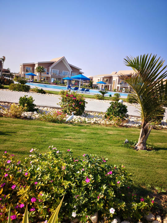 Gartenanlage Pickalbatros Sea World Resort - Marsa Alam
