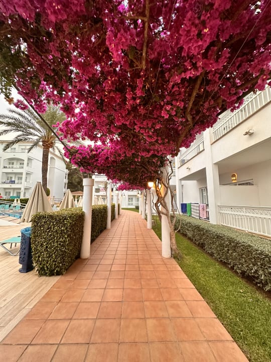 Gastro Green Garden Aparthotel