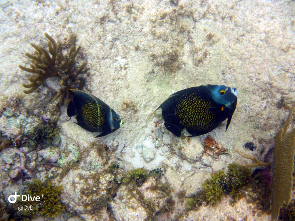 Sport & Freizeit Akumal Bay Beach & Wellness Resort