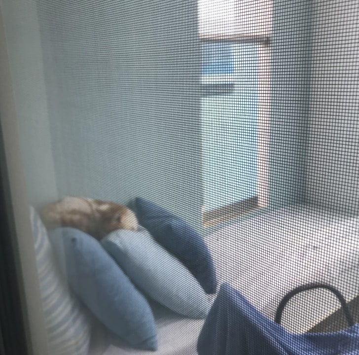 Zimmer Atlantica Plimmiri