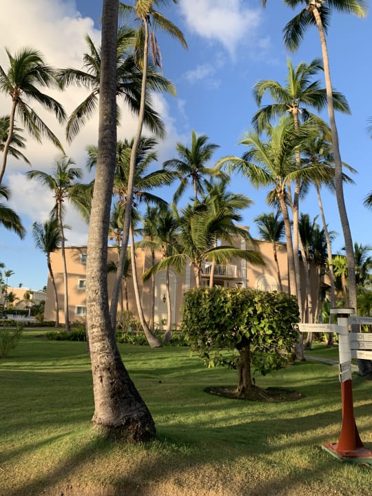 Gartenanlage TRS Turquesa Hotel - Adults only