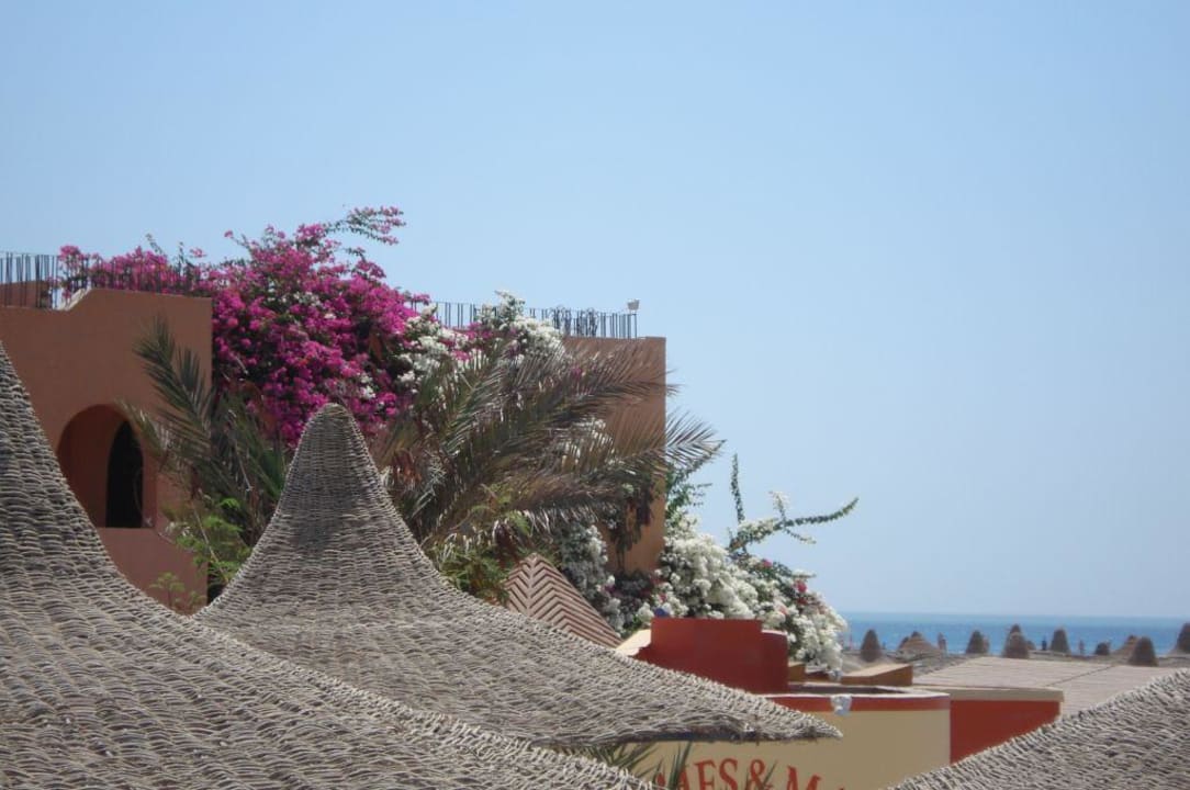 Ausblick vom Pool Giftun Azur Resort