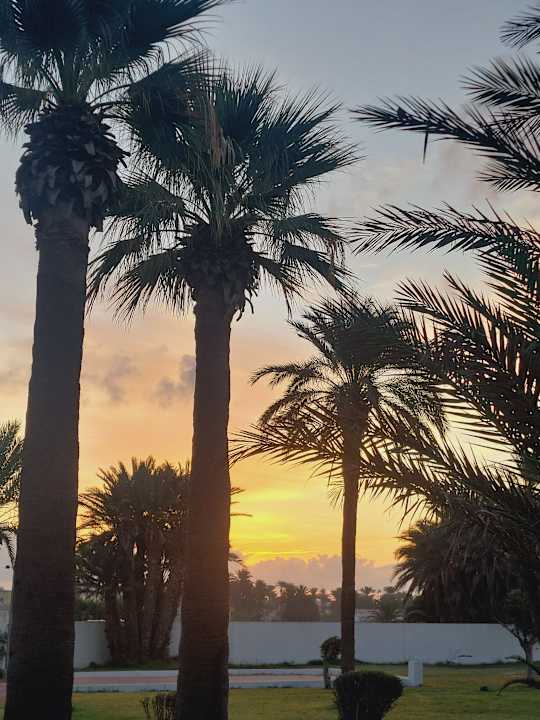 Gartenanlage Calimera One Resort Jockey