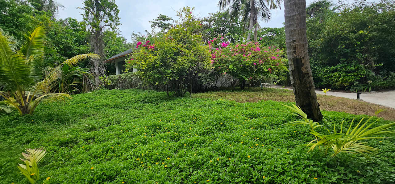 Sport & Freizeit NH Collection Maldives Havodda Resort