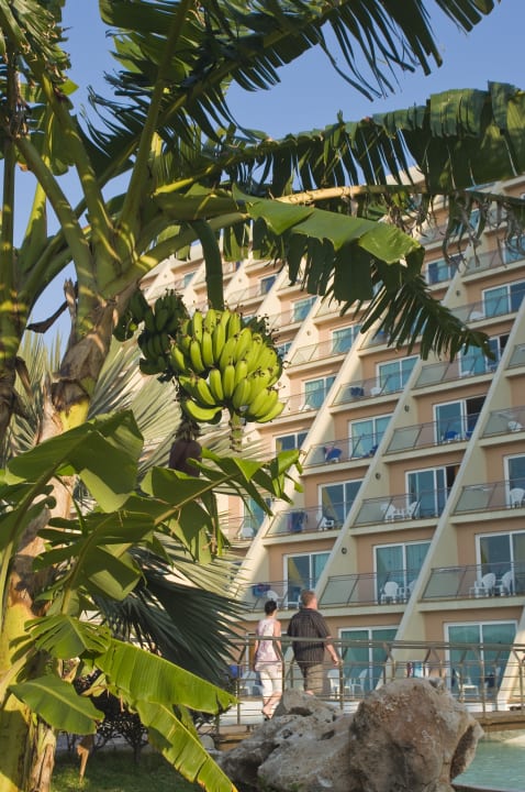 Außenansicht Blau varadero - Adults only