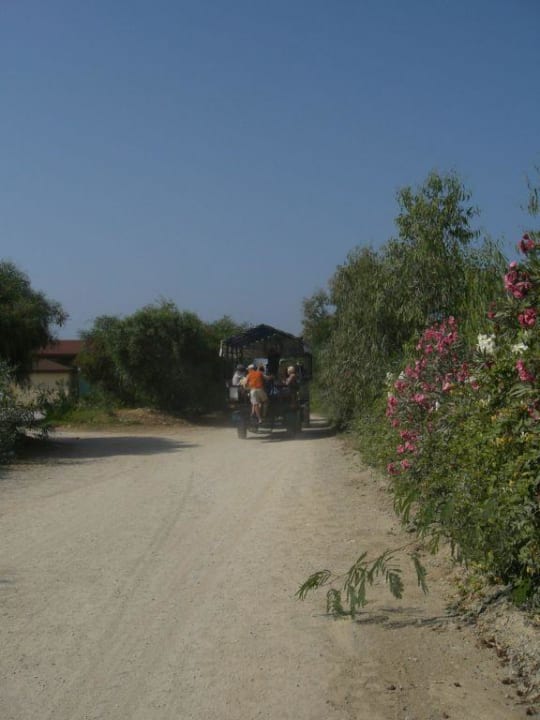 Strandweg Hotel Orfeus Park