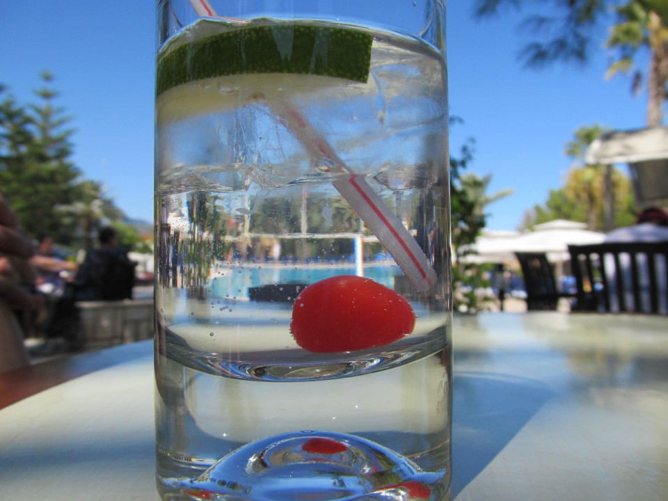 Gin T. Pirate's Beach Club