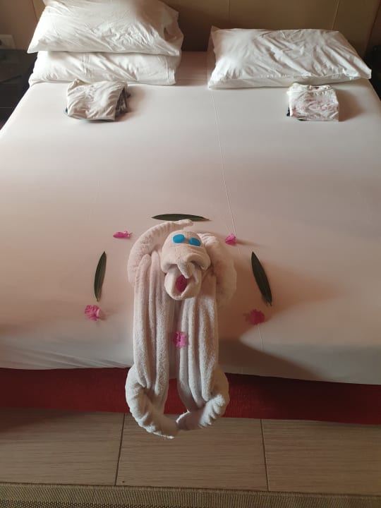 Zimmer Jaz Makadi Oasis Resort