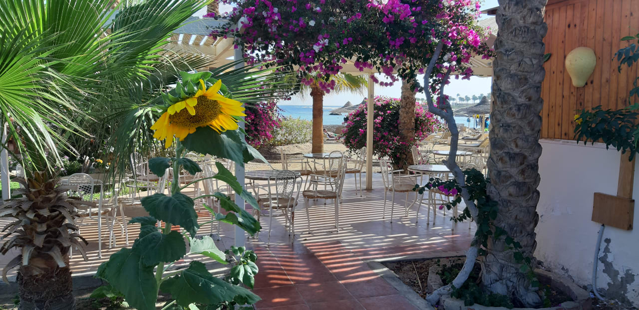 Garten Brayka Bay Resort