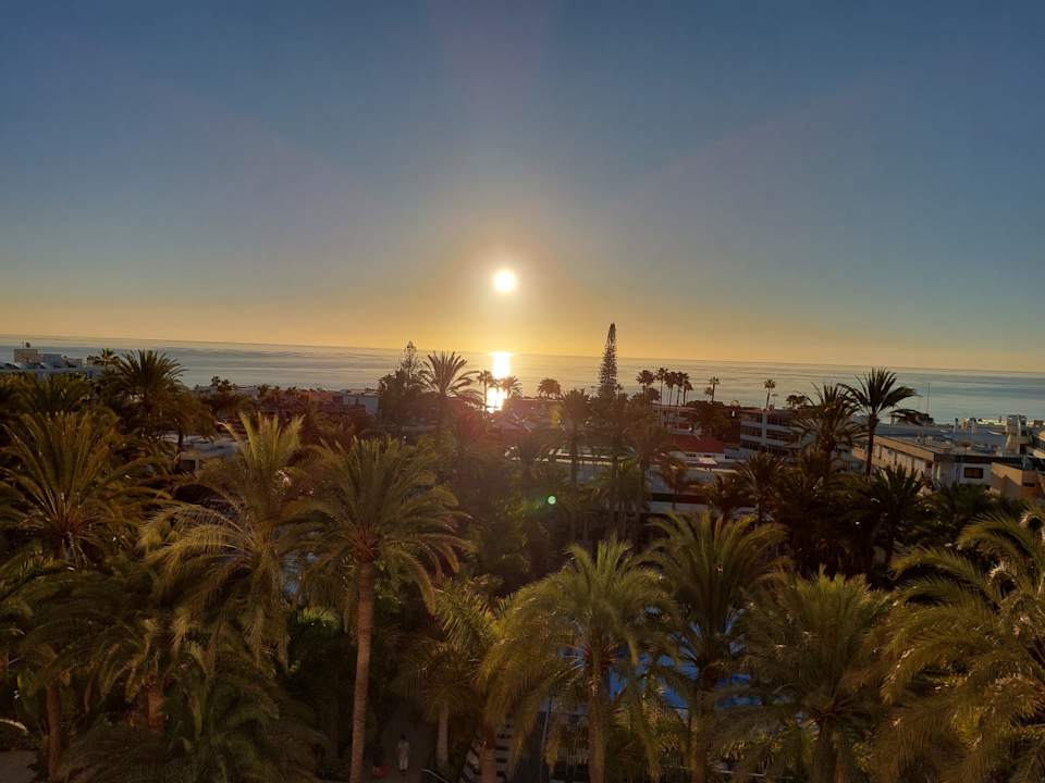 Gartenanlage Hotel Riu Palace Palmeras