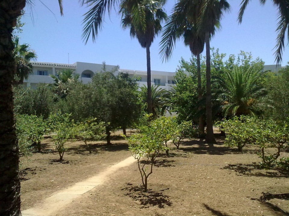 Gartenanlage Hotel El Mouradi Port El Kantaoui