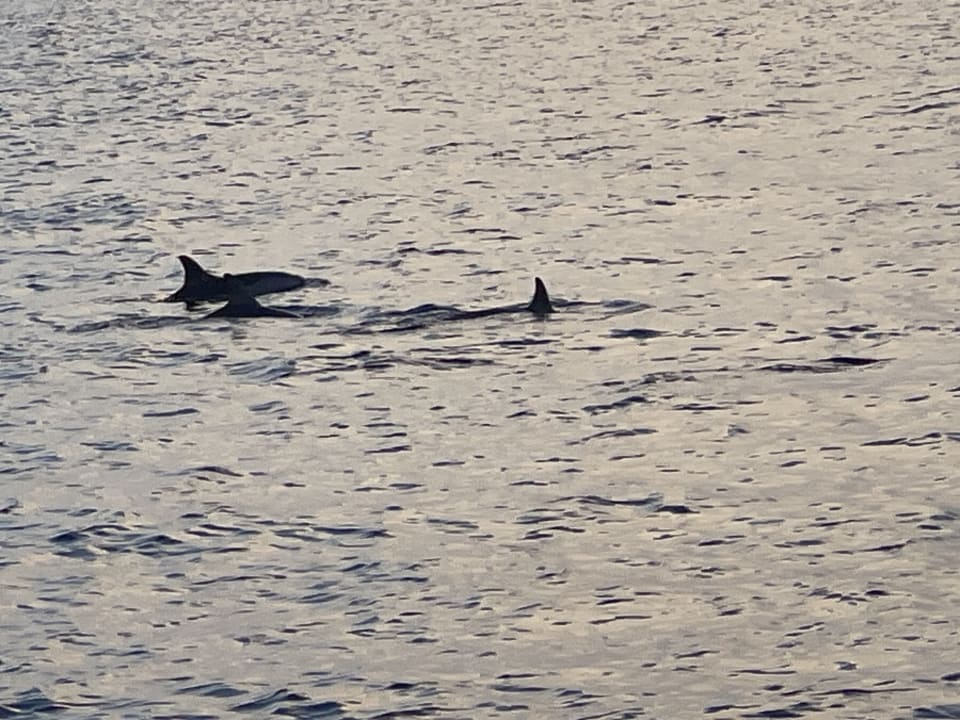 Ausblick TUI BLUE Olhuveli Romance