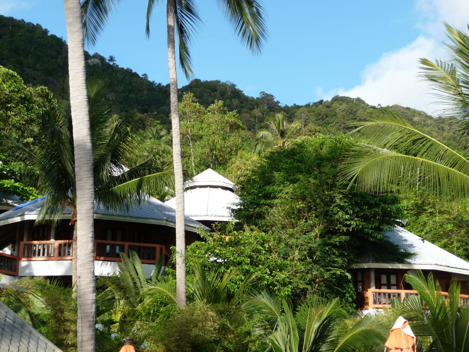 Blick auf die (Einzel)-Villen Pariya Resort & Villas Koh Phangan