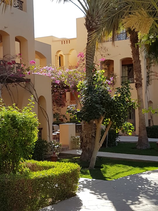 Gartenanlage Steigenberger Coraya Beach - Adults only