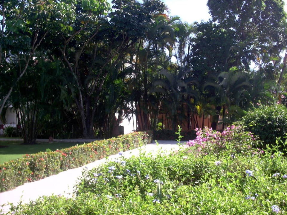 Teil des Gartens Sunscape Puerto Plata