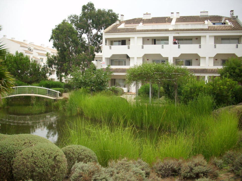 Oczko wodne z rybkami Golden Club Cabanas