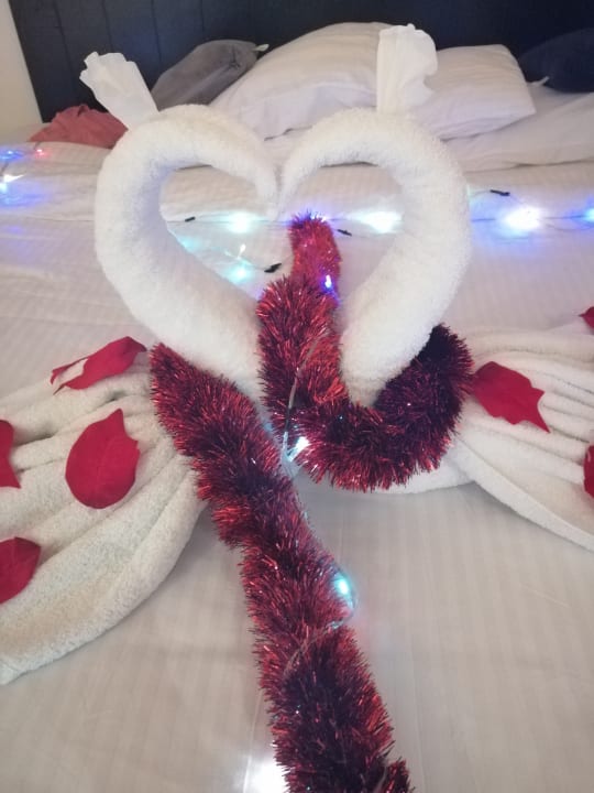 Zimmer Three Corners Sea Beach Resort