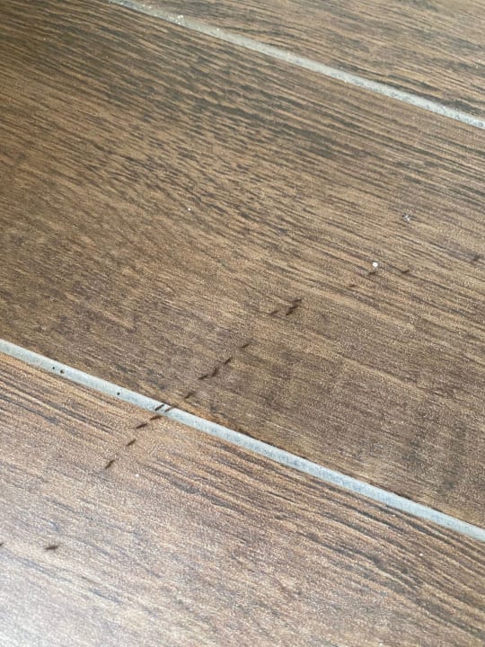 Zimmer Hotel Rosa Beach