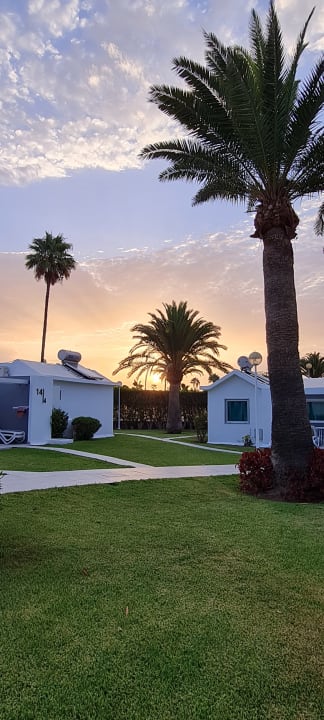 Gartenanlage Canary Garden Club