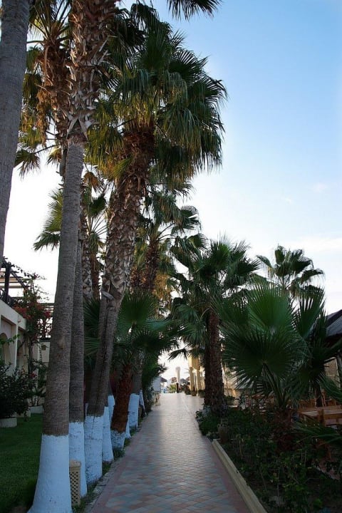 Zum Meer Hotel Paradis Palace