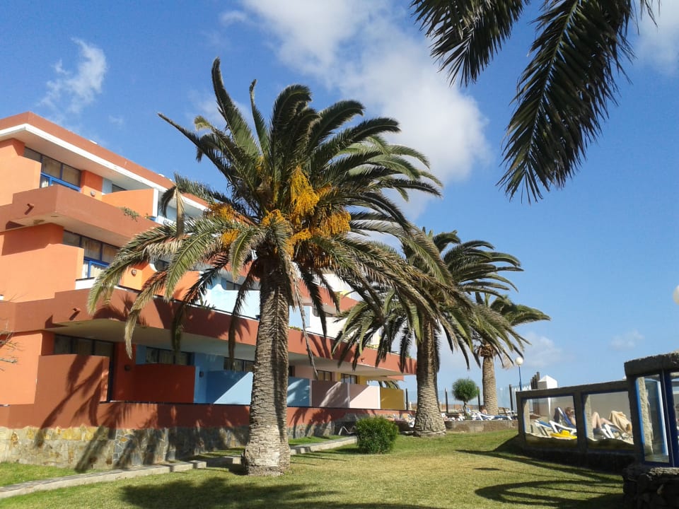 Gartenanlage SBH Fuerteventura Playa