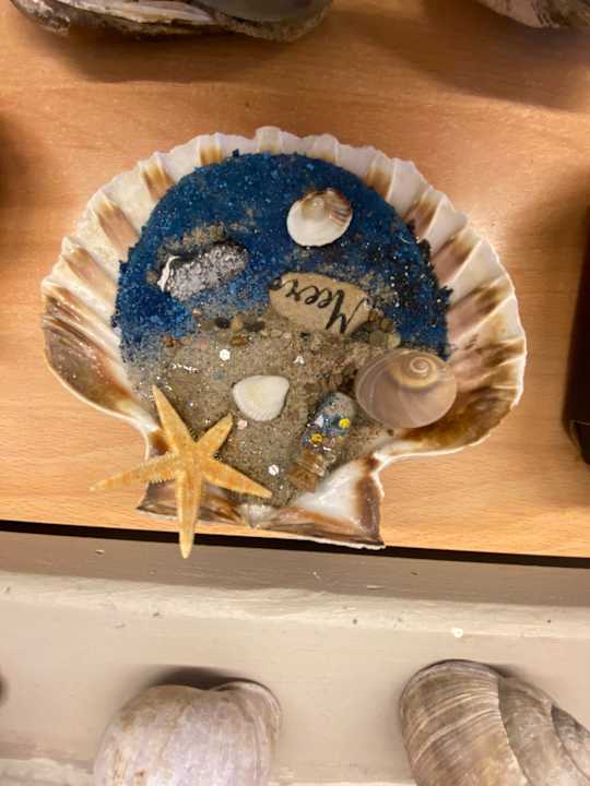 Sport & Freizeit Ferienwohnungen Ferienpark Weissenhäuser Strand