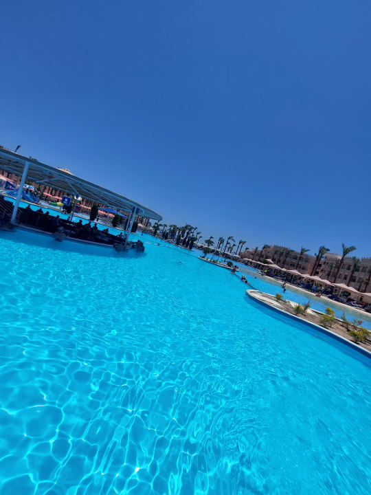 Pool Pickalbatros Palace Resort