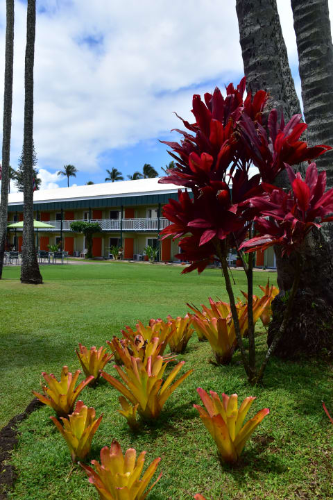 Gartenanlage Kauai Shores Hotel