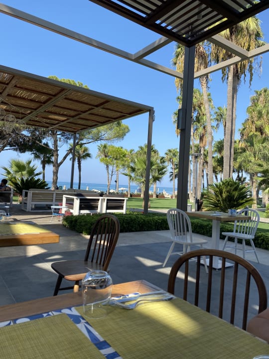 Gastro Acanthus Cennet Barut Collection