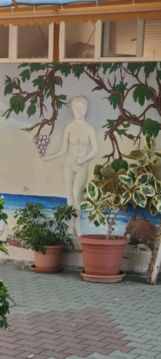 Sonstiges Önder Yildiz Hotel