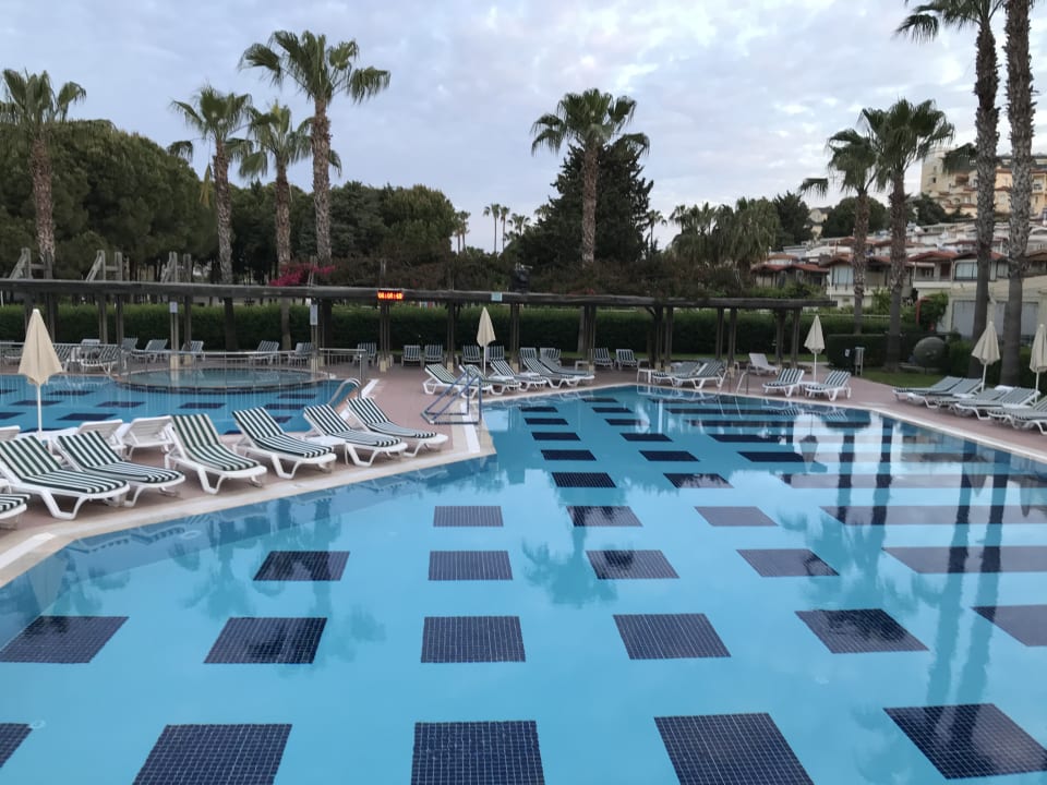 Pool Trendy Palm Beach (Adults Only, 16+)