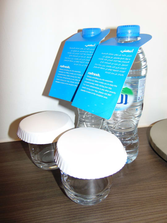 Zimmer Hampton By Hilton Dubai Airport