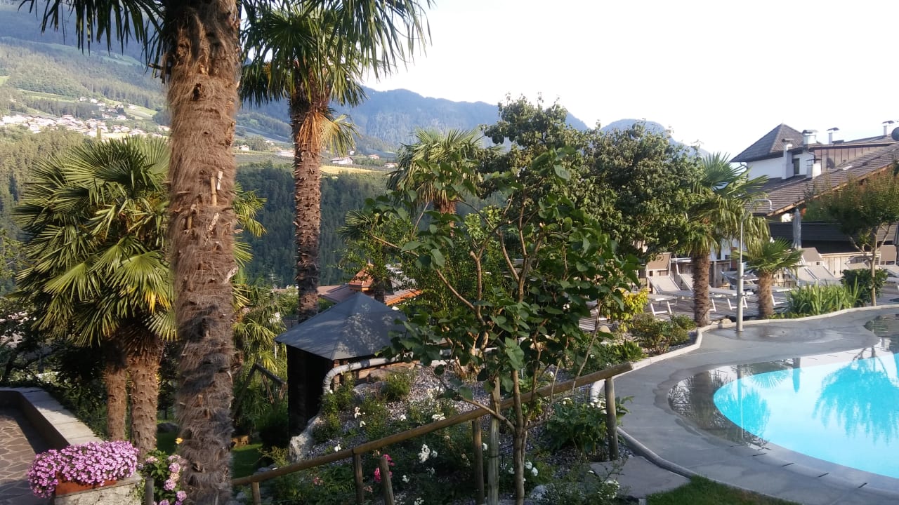 Ausblick Hotel Zirmerhof