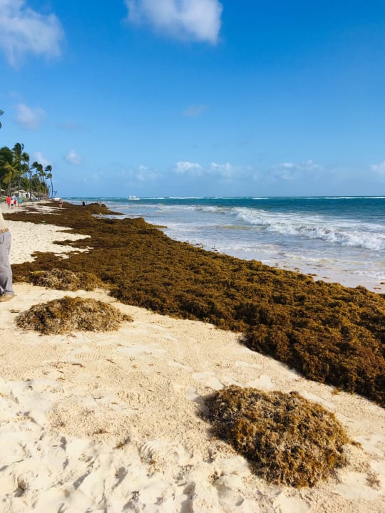 Strand Punta Cana Princess All Suites Resort & Spa