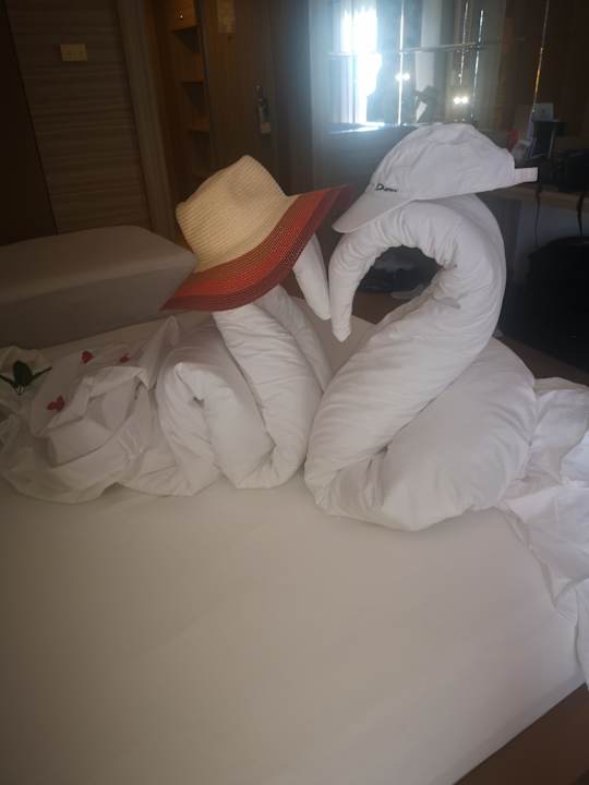 Zimmer Delphin Deluxe Resort