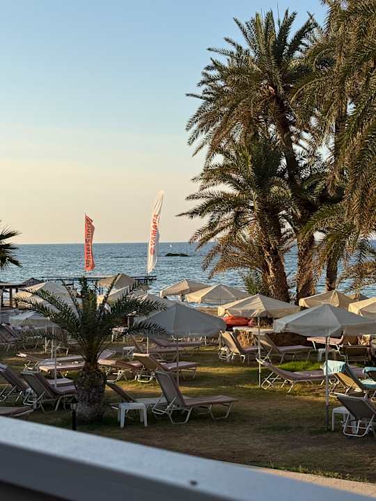 Gartenanlage Zeus Hotels Palm Beach