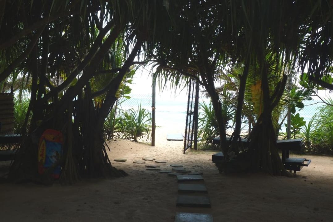 Blick vom Aufenthaltsraum Hotel Haus am Meer Wilde Ananas
