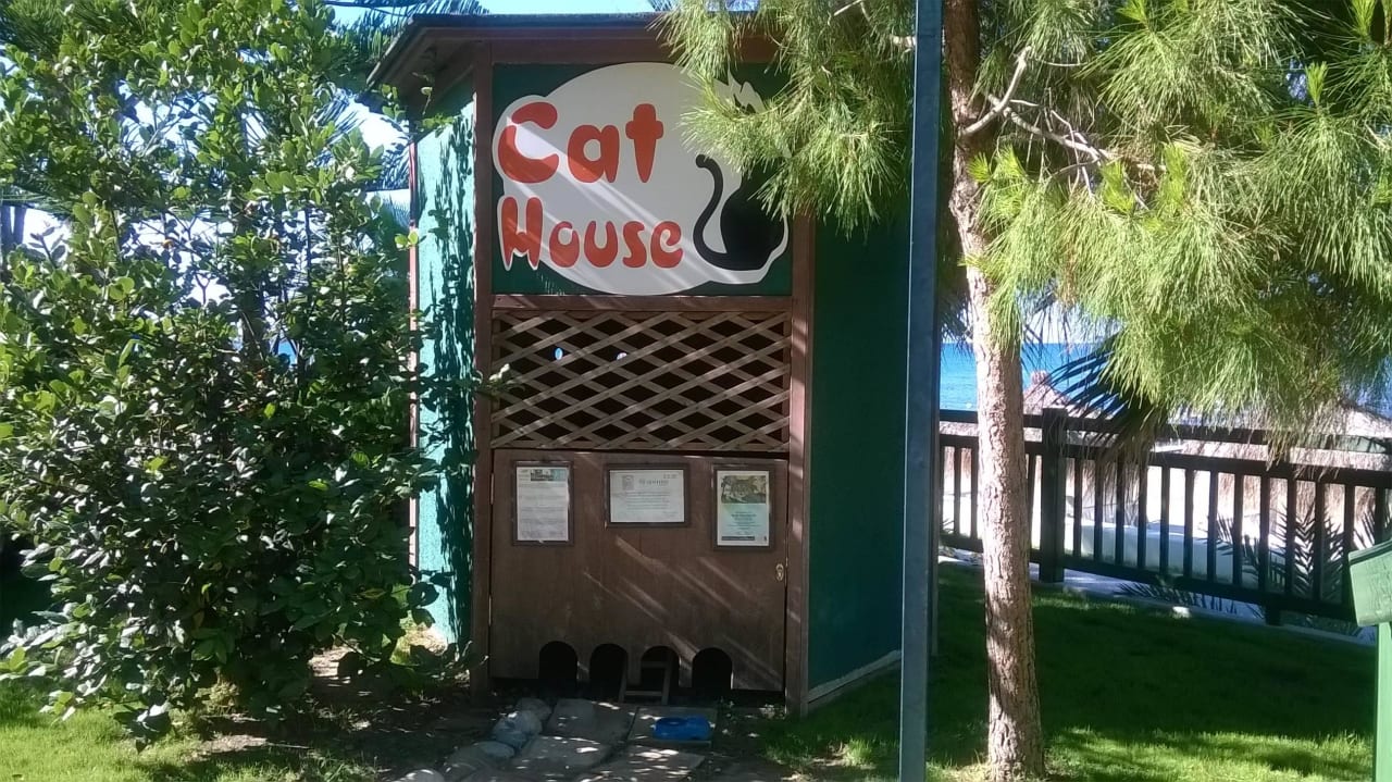 Katzenhaus PALOMA Perissia