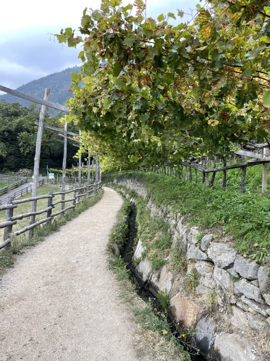 Gartenanlage Hotel Golserhof