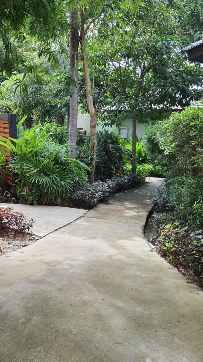 Gartenanlage SAii Koh Samui Villas (adult only 12+)