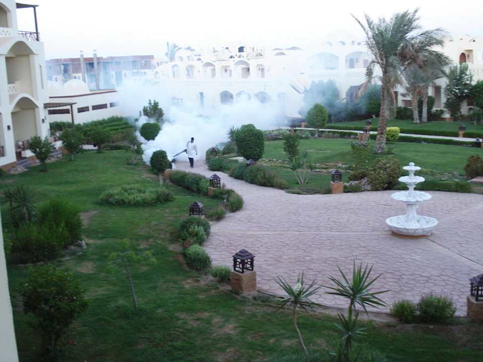 Godz. 18 dymienie na robale Regency Plaza Aqua Park & Spa