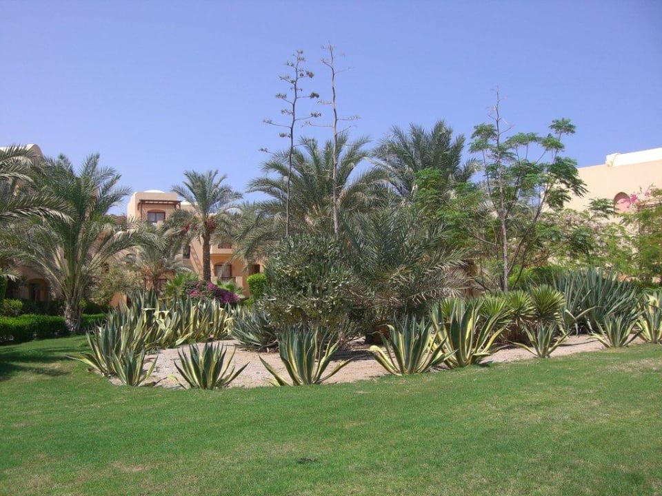 Schöne Gartenanlage Steigenberger Coraya Beach - Adults only