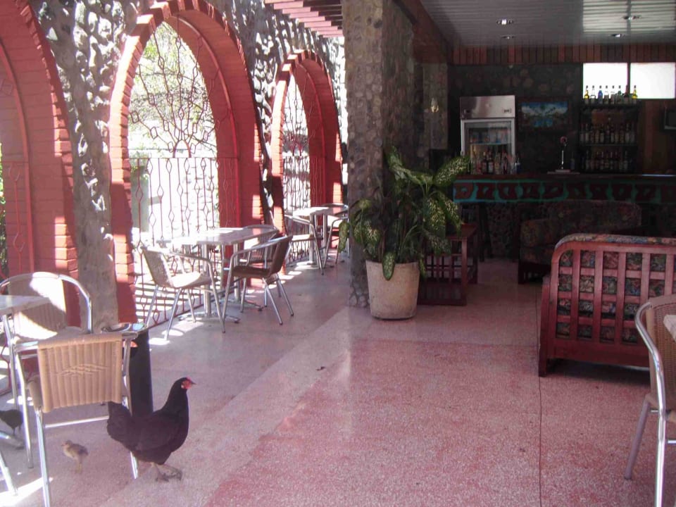 Hotelbar Hotel Islazul Costa Morena