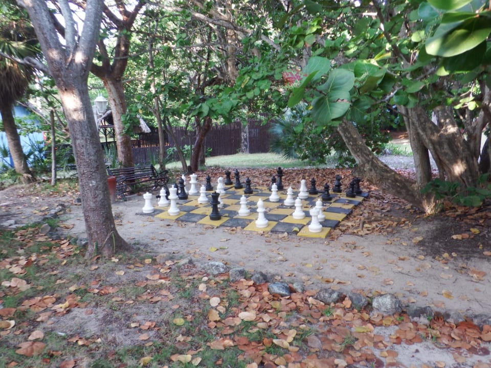 Sport & Freizeit Iberostar Origin Taínos