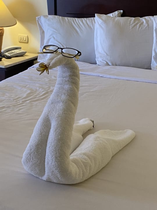 Zimmer Casa Mare Resort