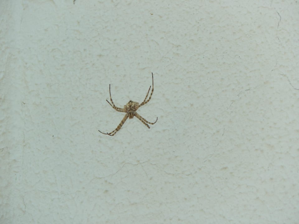 Balkon Riva Bodrum Resort