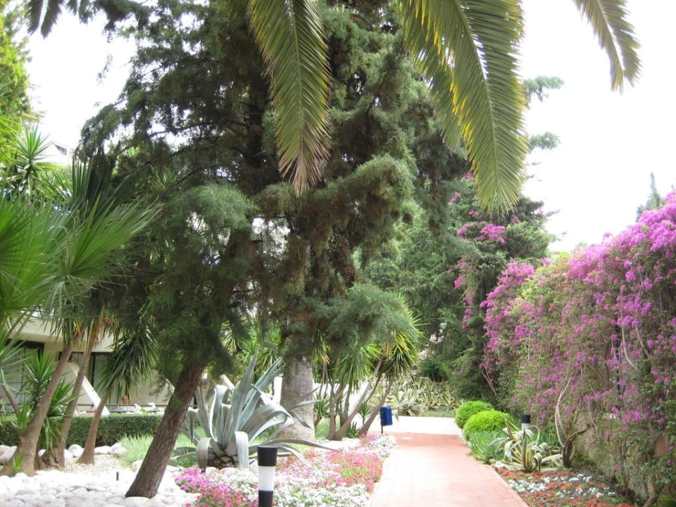 Weg zum Strand und Pool Side Star Elegance