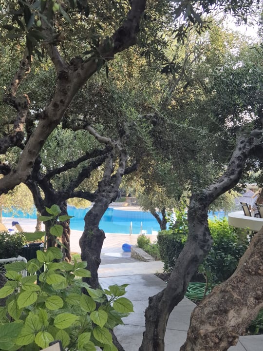 Gartenanlage TUI KIDS CLUB Alex Beach