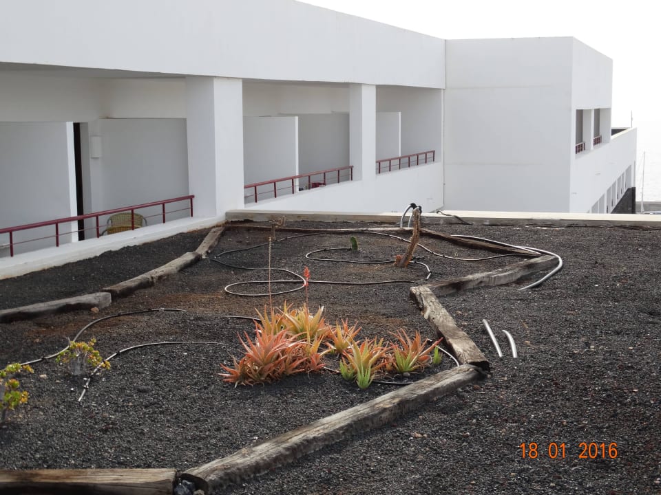 Anblick aus Zimmer 404-406. Hotel Costa Calero